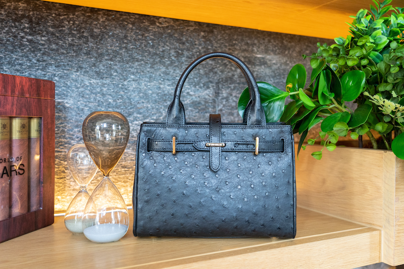Dolly Handbag (25)