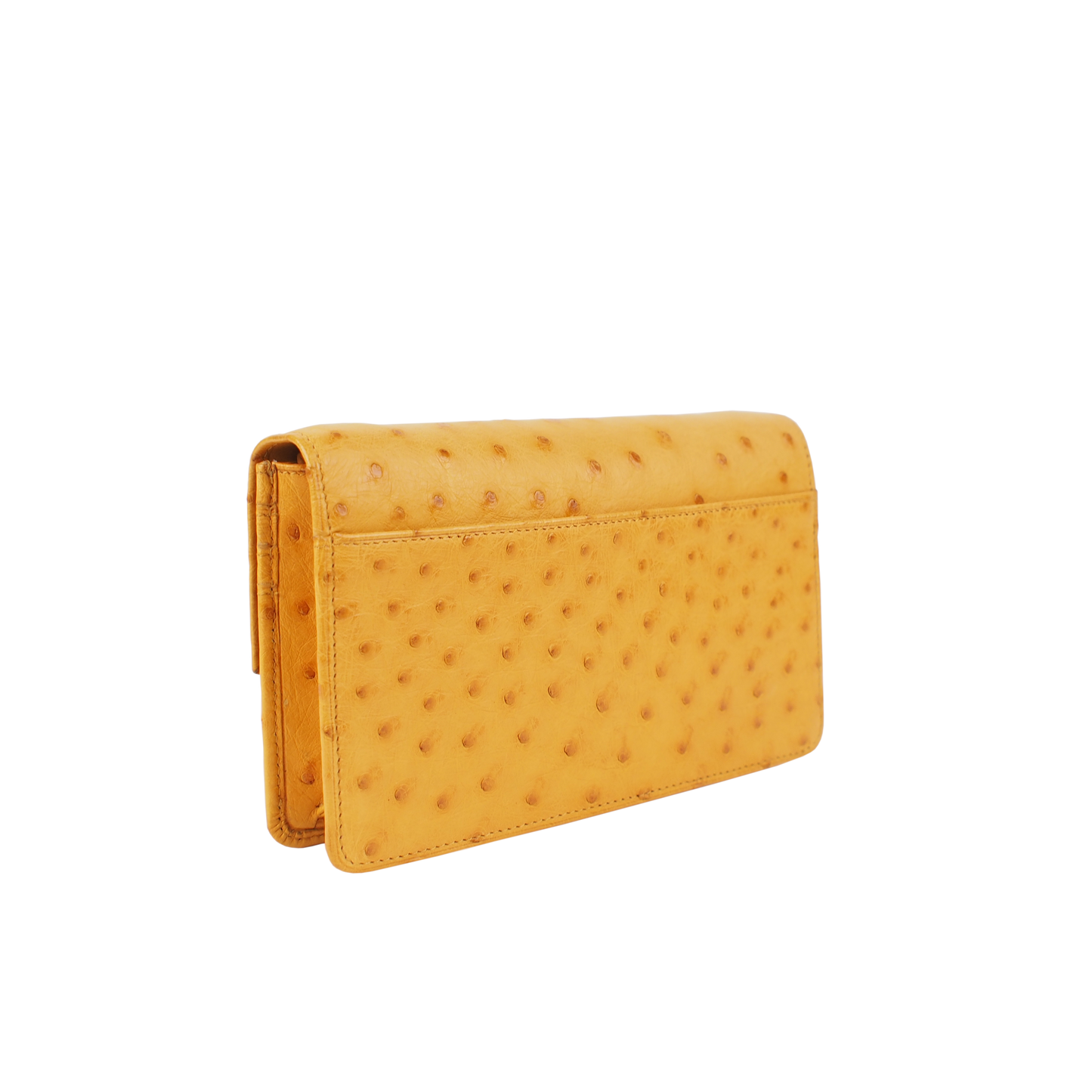 Clutch with Strap