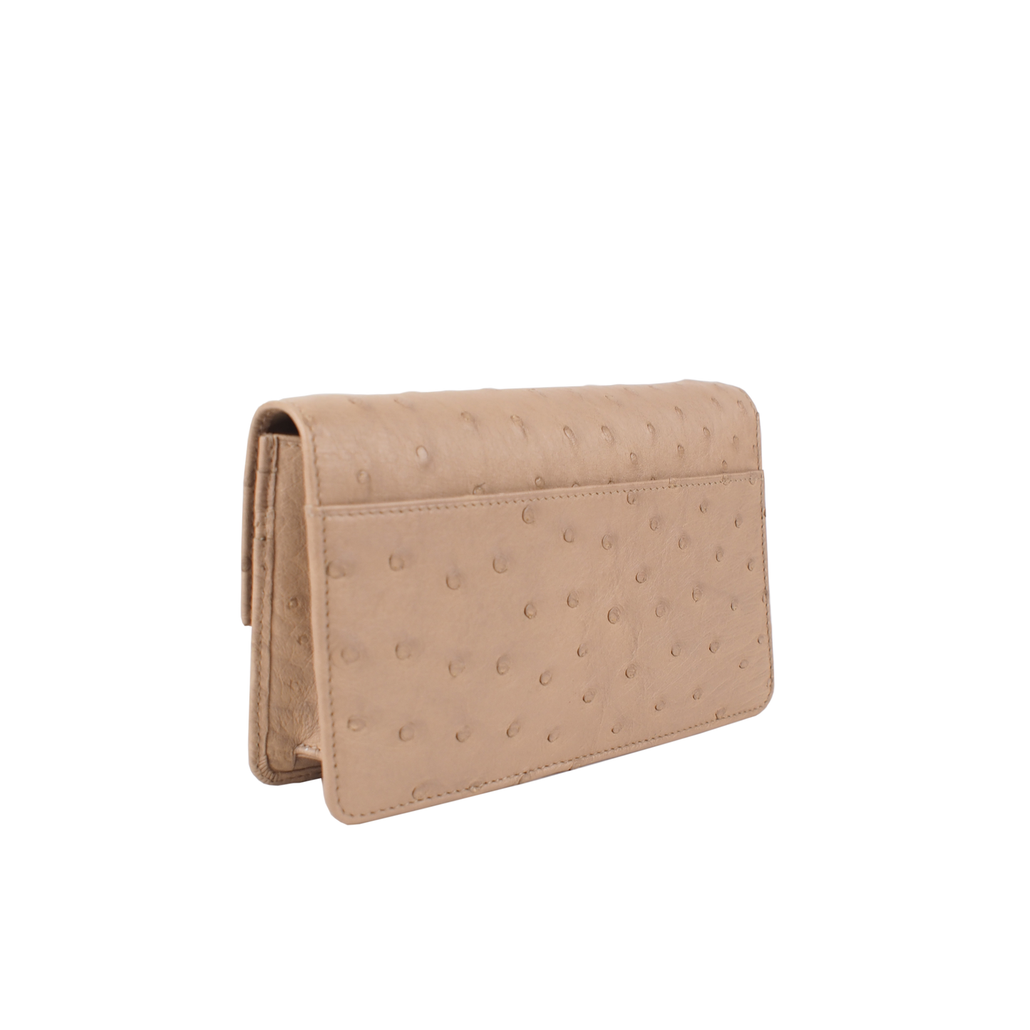 Clutch with Strap