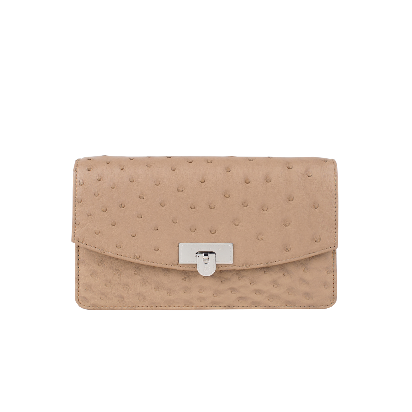 Clutch with Strap