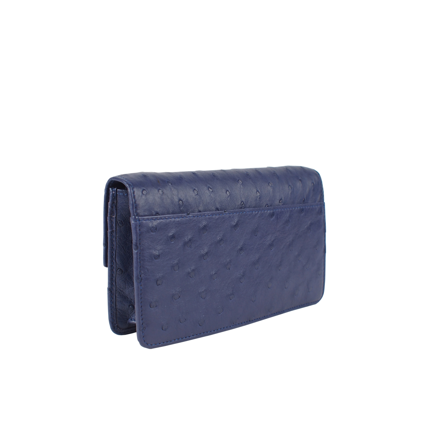 Clutch with Strap