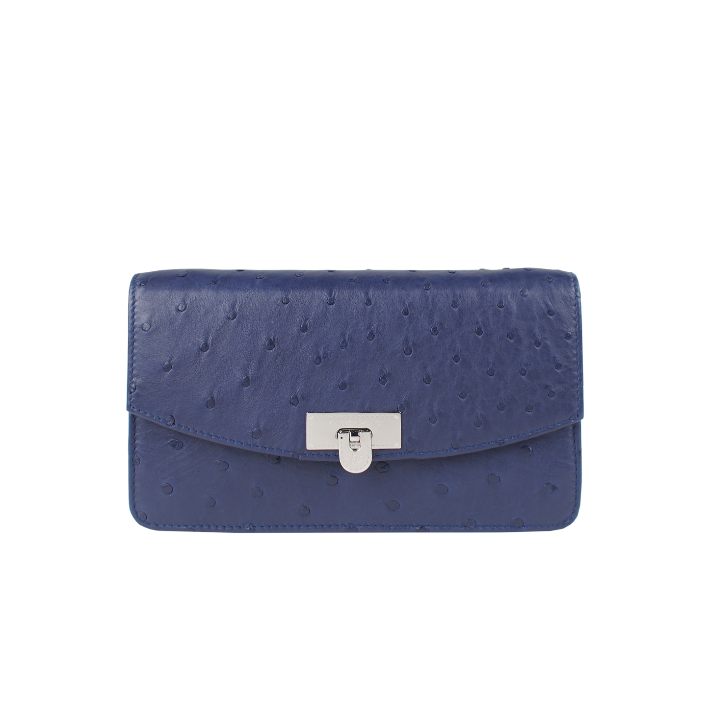 Clutch with Strap